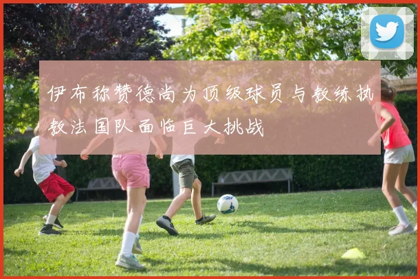伊布称赞德尚为顶级球员与教练执教法国队面临巨大挑战